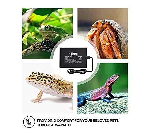 Imagem de iPower Réptile Heat Pad 4W/8W/16W/24W Under Tank Terrium Warmer Heating Mat e Controlador de Termostato Digital para Tartarugas Lagartos Sapos e Outros Pequenos Animais, Multi Sizes