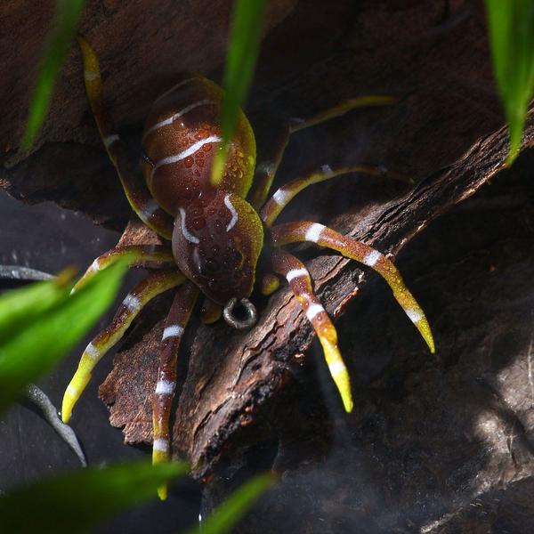 Imagem de Isca Artificial Aranha Anti Enrosco 6cm 12g Trairão BASS