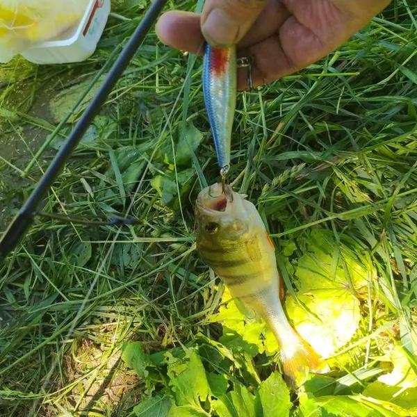 Imagem de Isca Artificial de Pesca Minnow 8,8cm - Manivela Wobbler Jerkbait para Tucunaré, Carpa e outros