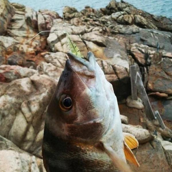 Imagem de Iscas de Camarão Artificial - 10 Peças - Simulação Realista para Pesca