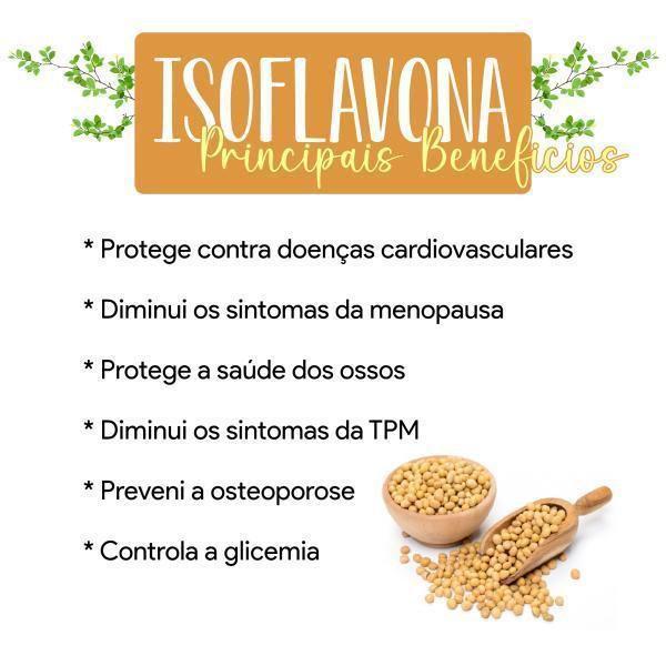 Imagem de Isoflavona Pura 240 Cápsula 4 Potes 100% Natural