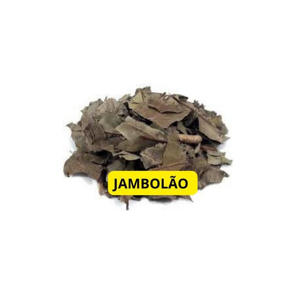 Jambolão Folha 1Kg (Syzygium cumini) - Top Life Imagem de Jambolão Folha 1Kg (Syzygium cumini)