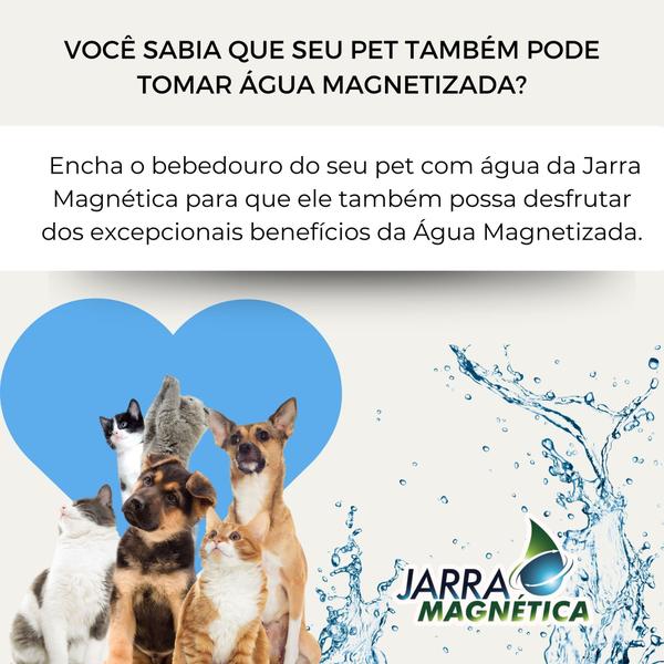 Imagem de Jarra Magnética Azul Premium