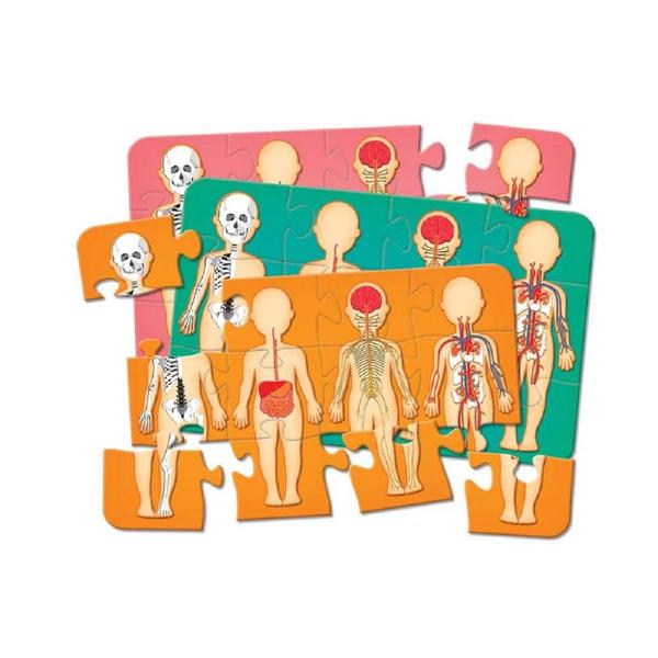 Jogo Corpo Humano 2808 Pais E Filhos Imagem de Jogo Corpo Humano 2808 Pais E Filhos