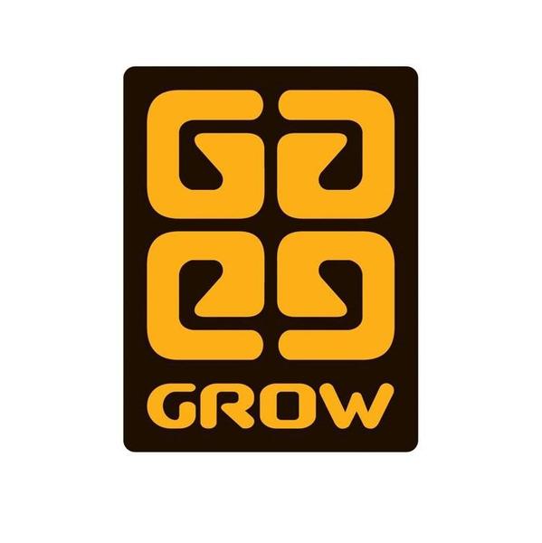 Imagem de Jogo De Tabuleiro Grow Imagem & Ação 1 2.400 Palavras - Grow