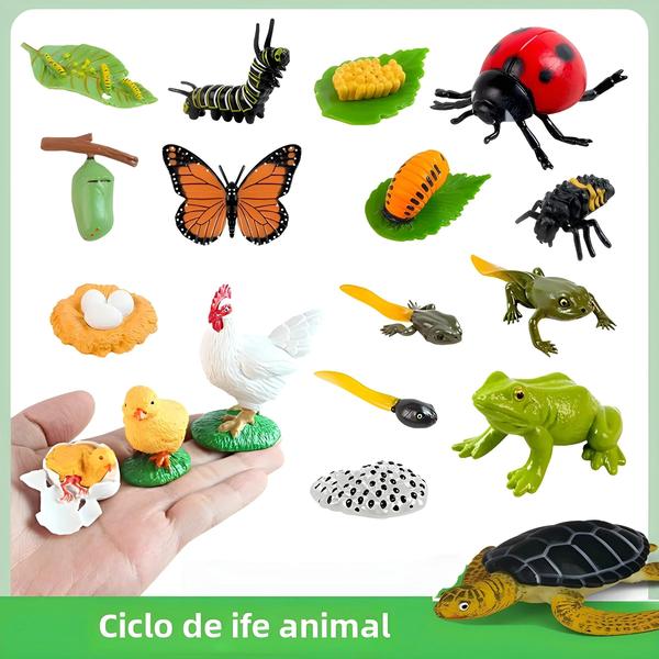 Imagem de Jogo de Tabuleiro Montessori de Ciclo de Vida Animal e Crescimento de Plantas para Pré-Escolar