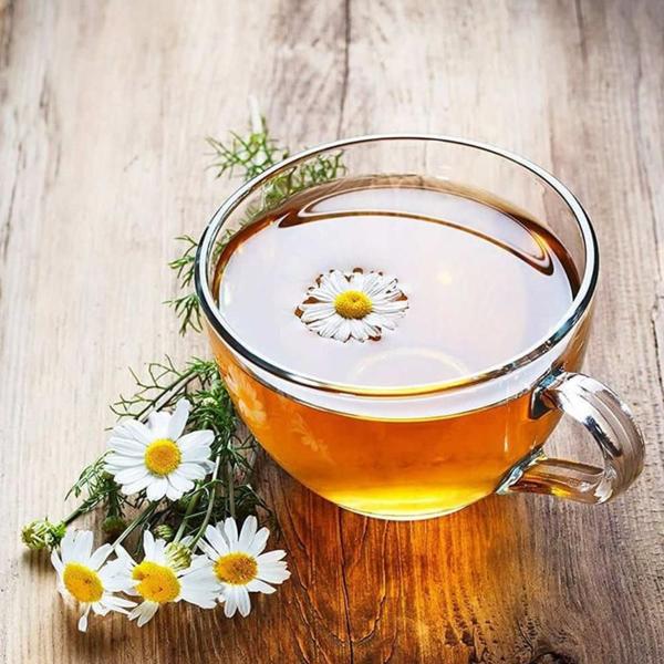 Jogo De Xícaras Em Vidro Kit Canecas 6 Peças Para Chá Café - ORIGINAL LINE Imagem de Jogo De Xícaras Em Vidro Kit Canecas 6 Peças Para Chá Café