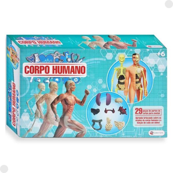 Imagem de Jogo Infantil Corpo Humano 29 Peças para Montar 001427 - Shiny Toys