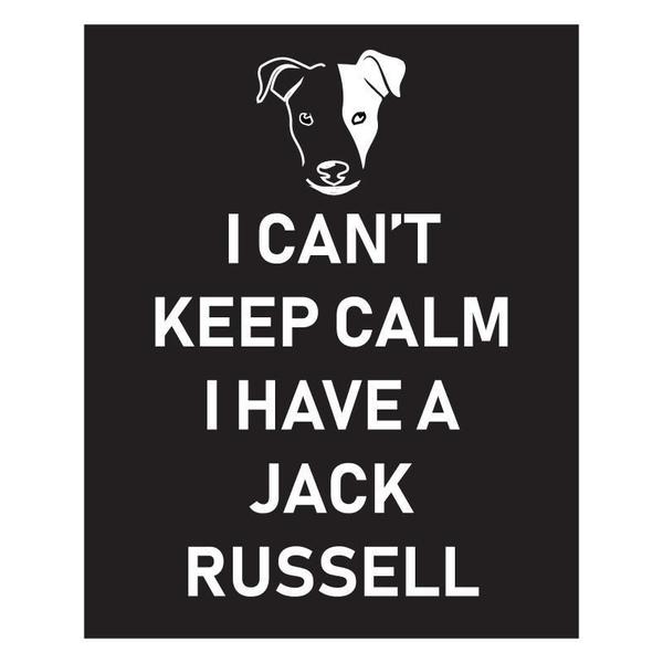 Imagem de Keep Calm Jack Russell - Adesivo de Parede