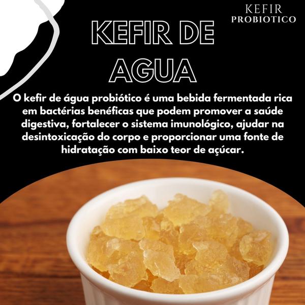 Imagem de Kefir Probiótico Desidratado de Agua Com Tampa Voal, Frasco 250 Mls e Manual