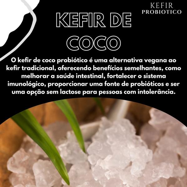 Imagem de Kefir Probiótico Desidratado de Coco Com Tampa Voal, Vidro de 500 mls e Manual