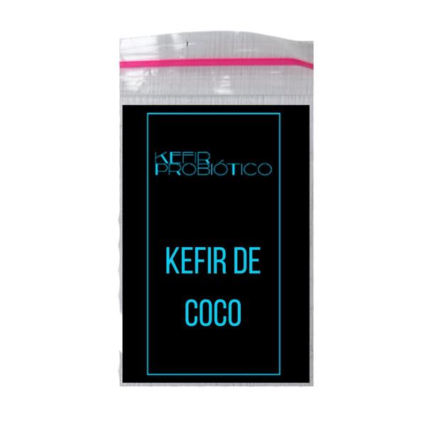 Kefir Probiótico Desidratado de Coco Com Tampa Voal, Vidro de 500 mls, Peneira e Manual Imagem de Kefir Probiótico Desidratado de Coco Com Tampa Voal, Vidro de 500 mls, Peneira e Manual