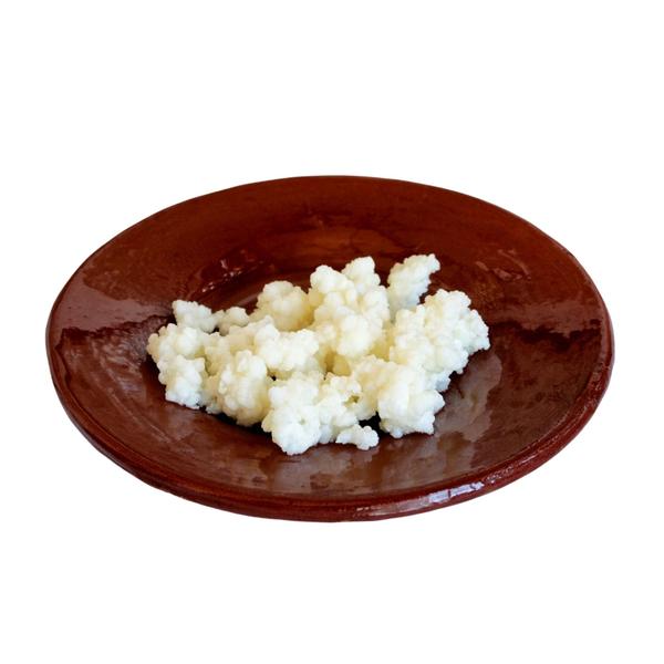 Kefir Probiótico Desidratado de Coco Com Tampa Voal, Vidro de 500 mls, Peneira e Manual Imagem de Kefir Probiótico Desidratado de Coco Com Tampa Voal, Vidro de 500 mls, Peneira e Manual