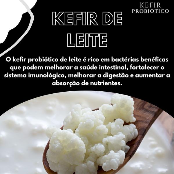 Imagem de Kefir Probiótico Desidratado de Leite Com Tampa Voal e Manual Kit 3 Por 2