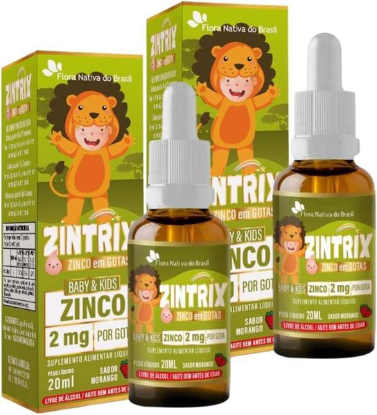 Imagem de Kit 02 Zintrix Zinco Em Gotas 20Ml Sabor Morango Kids Flora