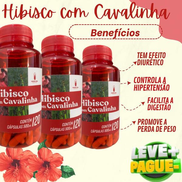 Imagem de KIT 03 Hibisco Com Cavalinha 120 Capsulas 500mg Fonte Vida