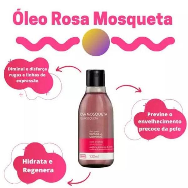 Kit 06 Óleo de Rosa Mosqueta Farmax 100ml Capilar e Corporal Imagem de Kit 06 Óleo de Rosa Mosqueta Farmax 100ml Capilar e Corporal