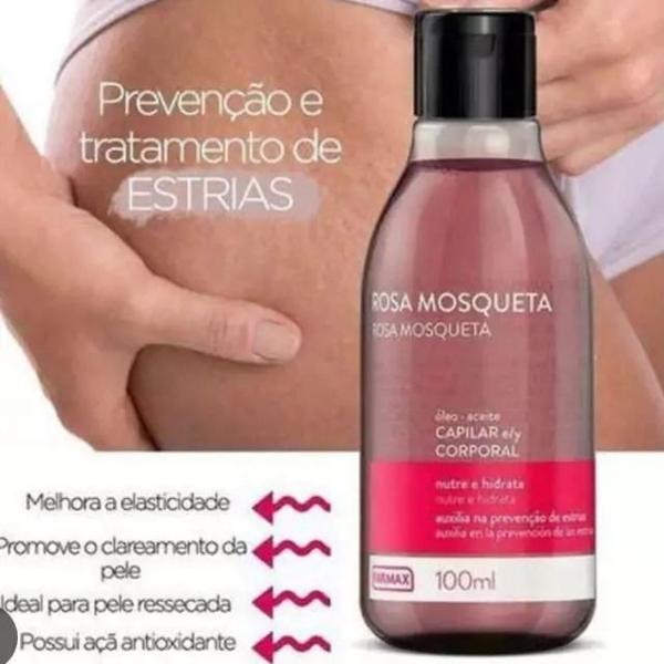 Kit 06 Óleo de Rosa Mosqueta Farmax 100ml Capilar e Corporal Imagem de Kit 06 Óleo de Rosa Mosqueta Farmax 100ml Capilar e Corporal