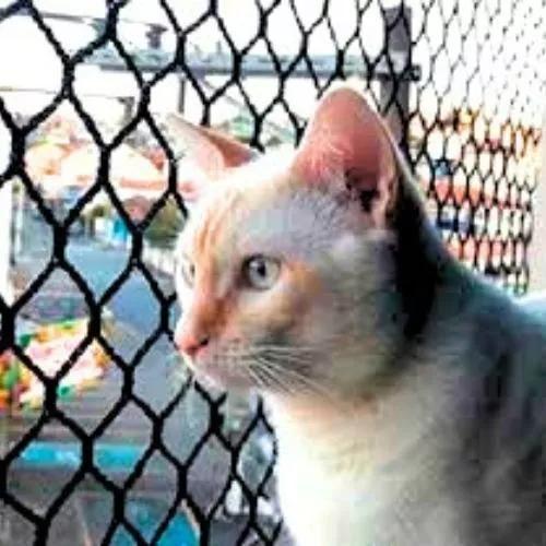 Kit 1.00x1.00 Telas e Redes de Proteção Malha 3x3 Para Gatos em Janelas - Luana Redes Imagem de Kit 1.00x1.00 Telas e Redes de Proteção Malha 3x3 Para Gatos em Janelas