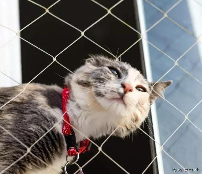 Imagem de Kit 1.00x1.80 Telas e Redes de Proteção Malha 3x3  Para Gatos em Janelas (1.80x1.00)