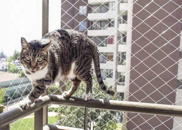 Imagem de Kit 1.70x4.00 De Redes De Proteção Para Crianças E Gatos