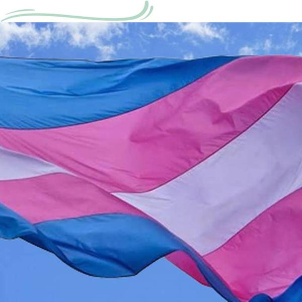 Imagem de Kit - 1 Bandeira GAY + 1 Bandeira TRANS