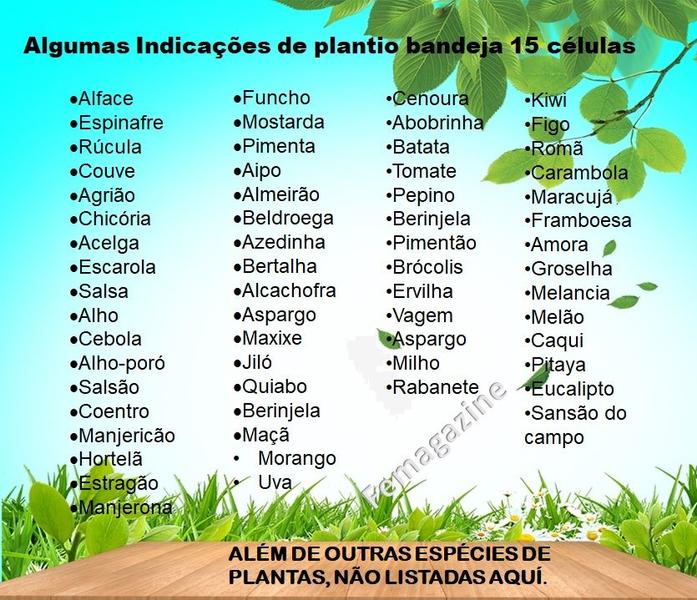 Kit 10 Bandejas Sementeira para produção de Mudas 15 Células - Nutriplan Imagem de Kit 10 Bandejas Sementeira para produção de Mudas 15 Células