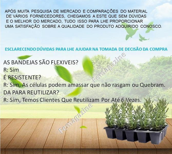 Kit 10 Bandejas Sementeira para produção de Mudas 15 Células - Nutriplan Imagem de Kit 10 Bandejas Sementeira para produção de Mudas 15 Células