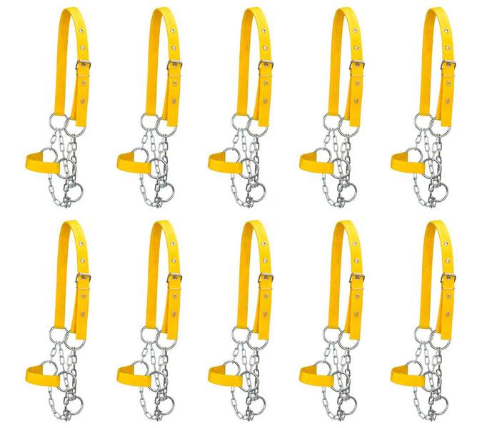 Kit 10 Cabrestos para Bezerro com Corrente SV39024 - Amarelo - Selaria Vertentes Imagem de Kit 10 Cabrestos para Bezerro com Corrente SV39024 - Amarelo