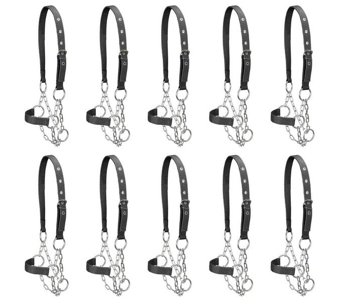 Kit 10 Cabrestos para Bezerro com Corrente SV39026 - Preto - Selaria Vertentes Imagem de Kit 10 Cabrestos para Bezerro com Corrente SV39026 - Preto