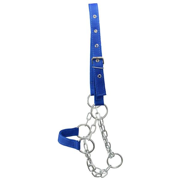 Kit 10 Cabrestos para Bezerro com Corrente SV39027 - Azul - Selaria Vertentes Imagem de Kit 10 Cabrestos para Bezerro com Corrente SV39027 - Azul