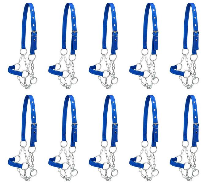 Kit 10 Cabrestos para Bezerro com Corrente SV39027 - Azul - Selaria Vertentes Imagem de Kit 10 Cabrestos para Bezerro com Corrente SV39027 - Azul