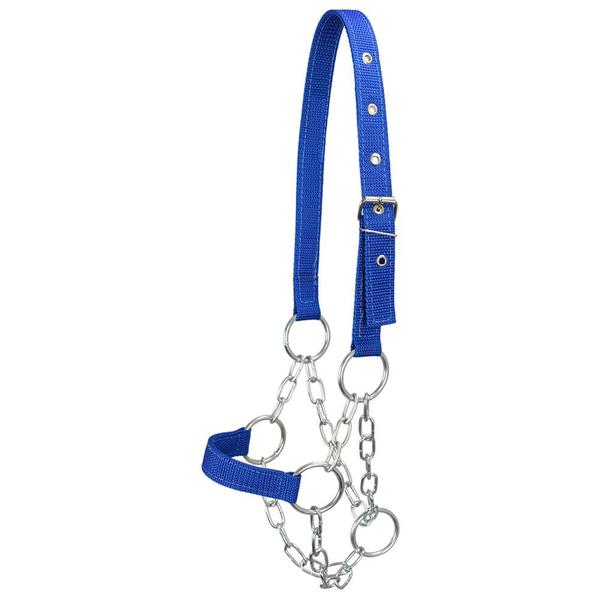 Kit 10 Cabrestos para Bezerro com Corrente SV39027 - Azul - Selaria Vertentes Imagem de Kit 10 Cabrestos para Bezerro com Corrente SV39027 - Azul