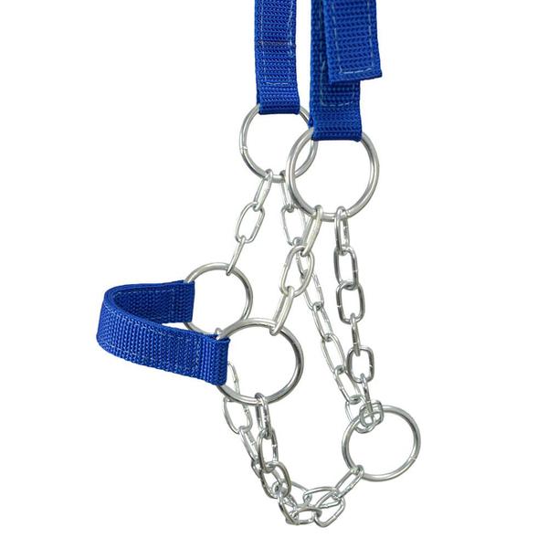 Kit 10 Cabrestos para Bezerro com Corrente SV39027 - Azul - Selaria Vertentes Imagem de Kit 10 Cabrestos para Bezerro com Corrente SV39027 - Azul