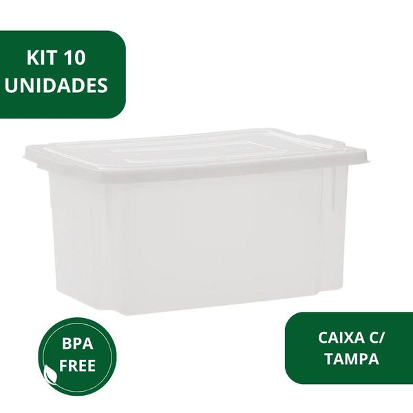 Imagem de Kit 10 Caixa Frigorifica Com Tampa Multiuso Pro 5l