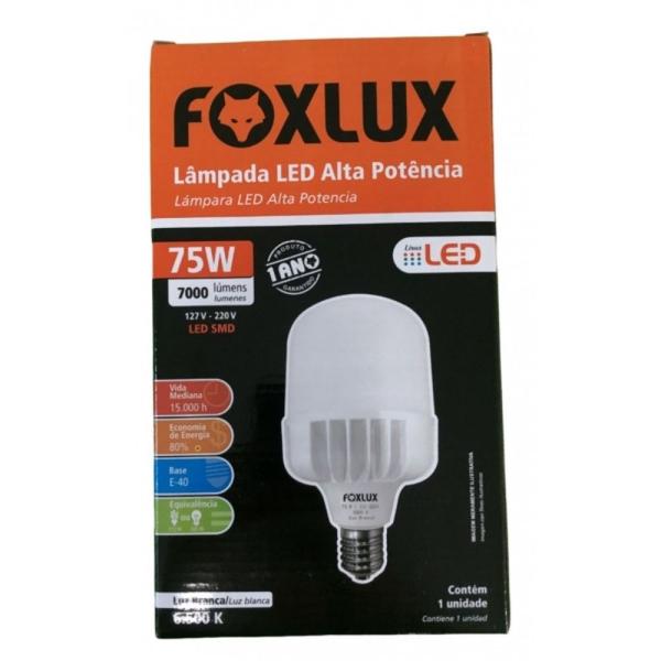 Imagem de Kit 10 lampada 75w 6500k bivolt e40 alta potencia foxlux