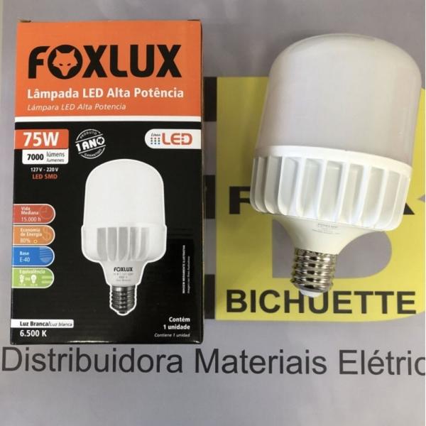 Imagem de Kit 10 lampada 75w 6500k bivolt e40 alta potencia foxlux