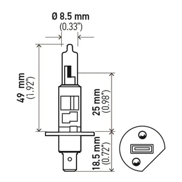 Imagem de Kit 10 Lâmpadas Halógena H1 24v Ônibus 70w Hella