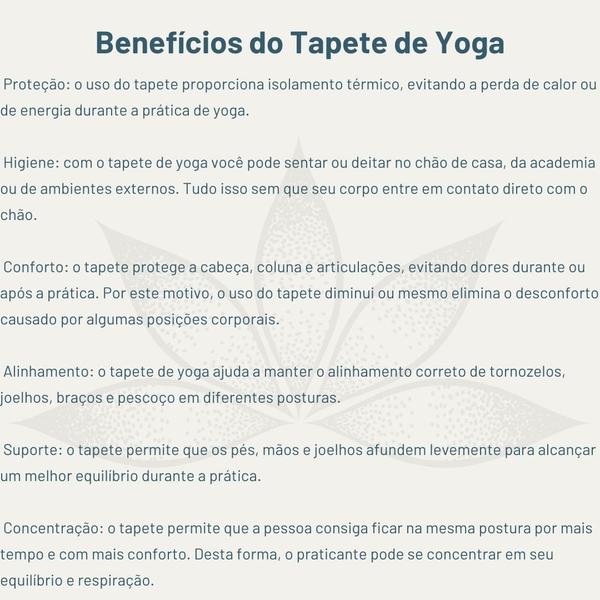 Imagem de Kit 10 Tapetes yoga pilates 1,80x0,53m colchonete academia