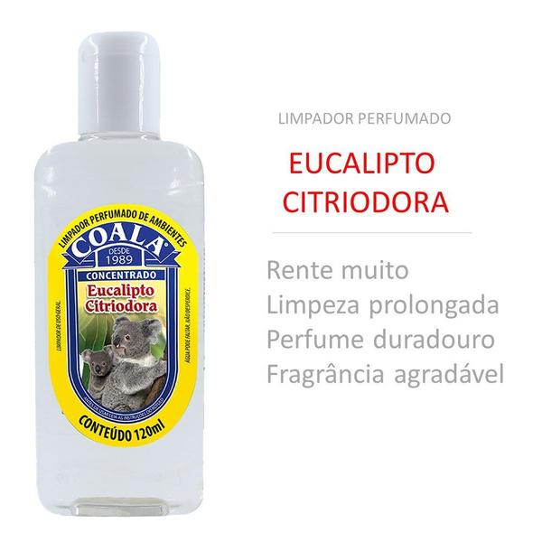 Imagem de Kit 12 Limpador Concentrado Perfumado de Ambientes Eucalipto Citriodora Coala 120ml