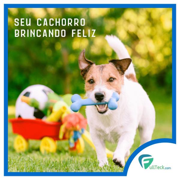 Imagem de Kit 12 Mordedores Brinquedo Anti Stress Sortido P/ Cachorros