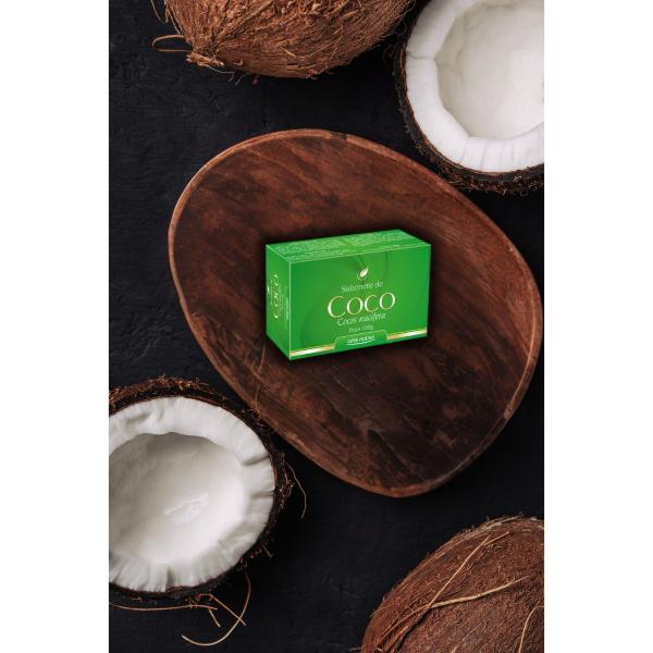 Imagem de Kit 12 Sabonetes de Coco, Hidratação, e Limpeza suave para Peles Ressecada, Mista e Normal, 100g cada - Arte Nativa