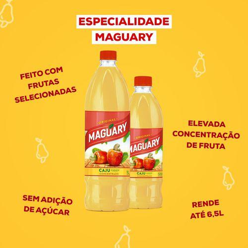 Imagem de Kit 12 Suco Concentrado De Caju Maguary 500ml