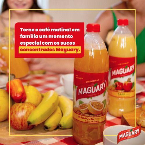 Imagem de Kit 12 Suco Concentrado De Manga Maguary 500ml