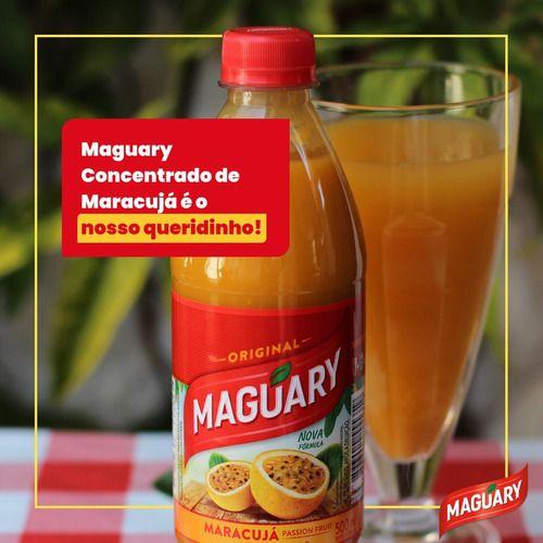 Imagem de Kit 12 Suco Concentrado De Maracujá Maguary 500ml