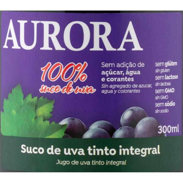 Imagem de Kit 12 un Suco de uva Integral Natural Vale dos Vinhedos 300 ml