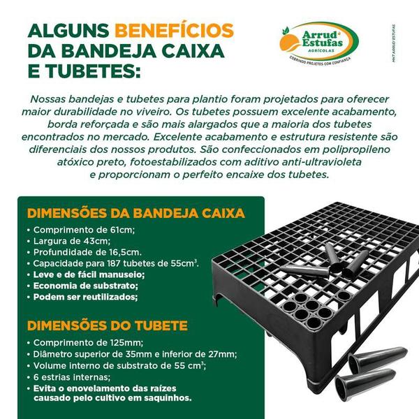 Imagem de Kit 14 Bandejas Caixa 187 Células Completas Com Tubetes 55cm