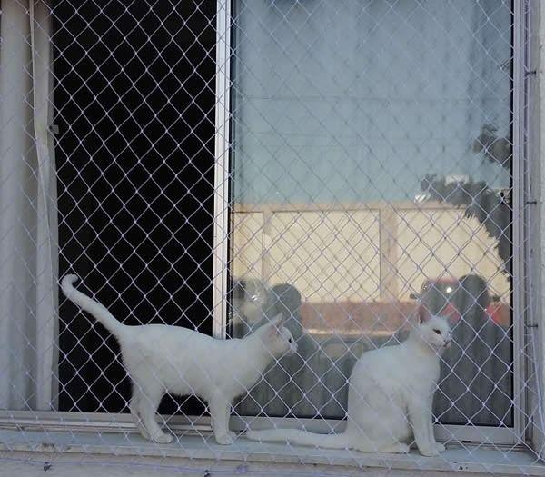 Imagem de Kit 2.30x20.00 De Redes De Proteção Para Crianças E Gatos