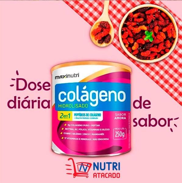 Imagem de Kit 2 Colágeno Hidrolisado 250G Hair Skin Amora Maxinutri