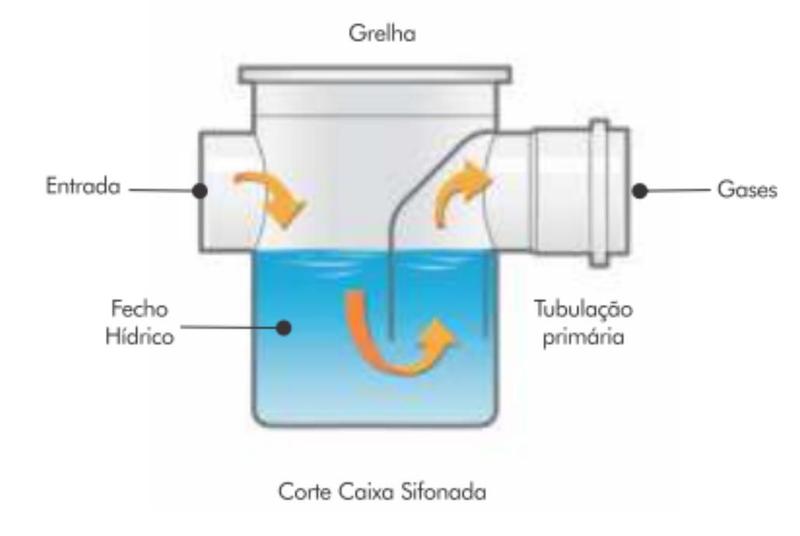 Imagem de Kit 2 Corpos De Caixa Sifonada 100x100x50 Fortlev